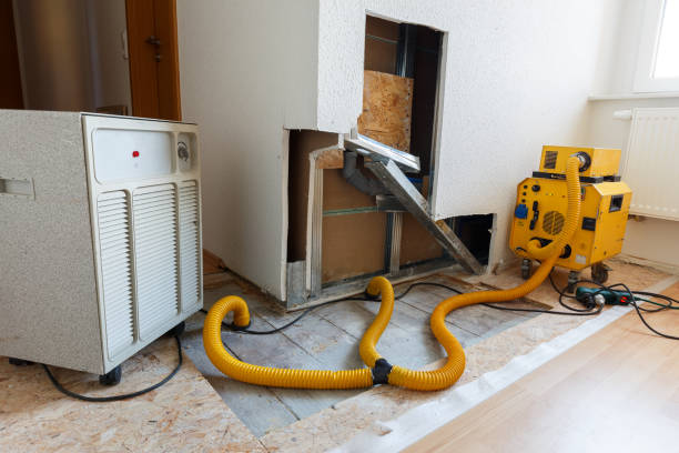 Best Dehumidification Services  in Shady Point, OK